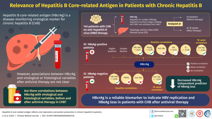 Relevance of Hepatitis B Core-Related Antigen in Chronic Hepatitis B Patients