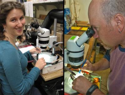 Rebecca Asch, Pete Davison, University of California - San Diego 