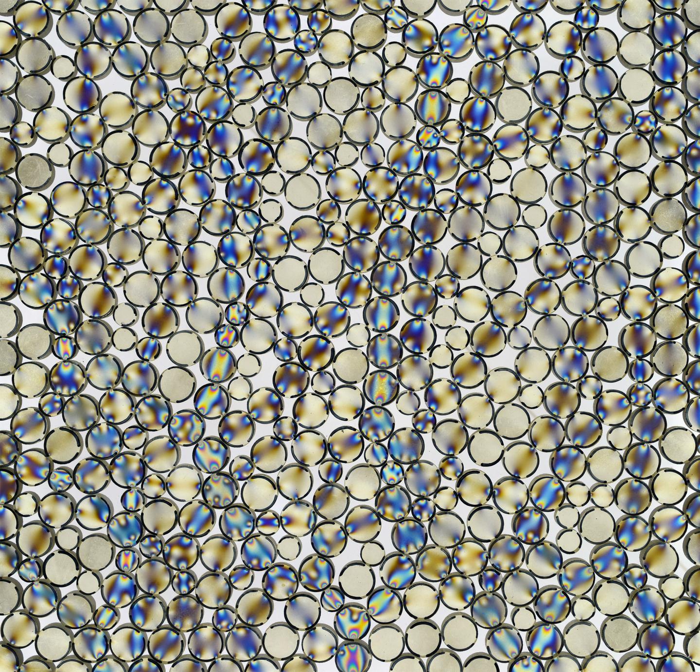 Photo-Elastic Disks During an Experiment