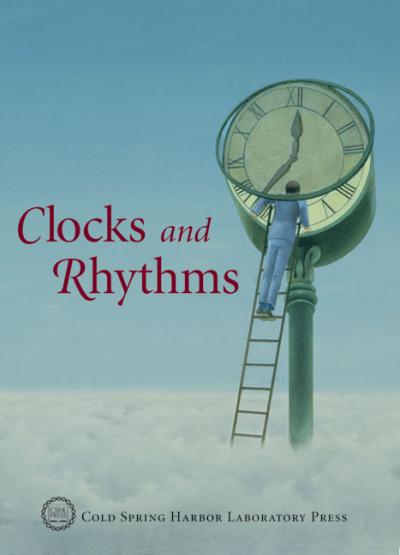 Cover of Clocks and Rhythms