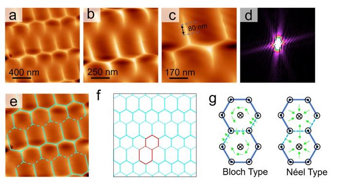 Intrinsic Magnetic Structure Observed for the First Time in a Kagome Lattice