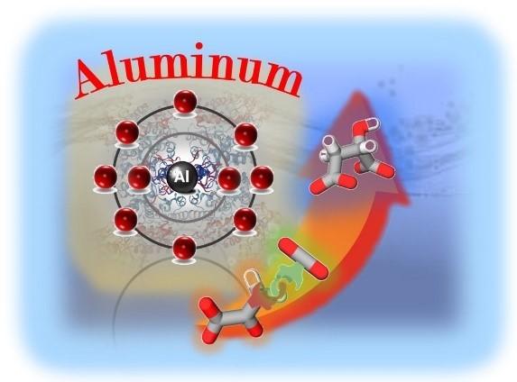 Graphic Abstract of the Article