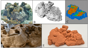 Reforming coral reefs using 3D