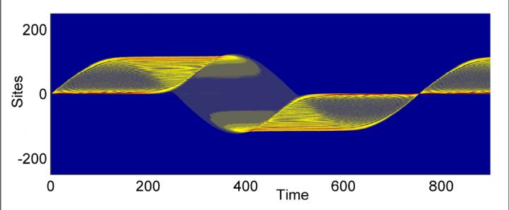 Compact Localized State Dynamics