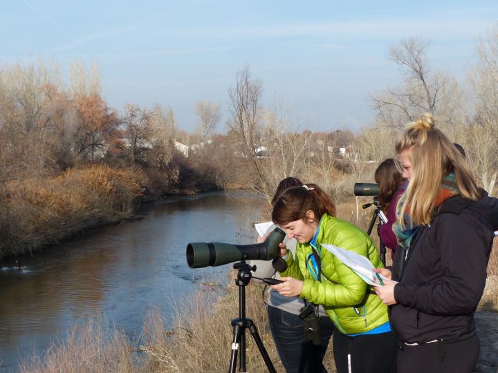 Birding on the Jordan River Parkway