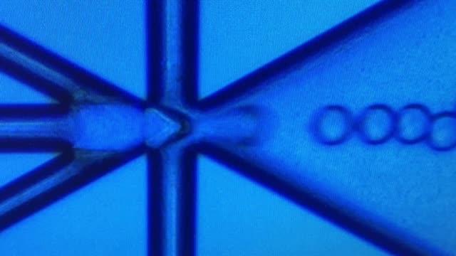 An artificial cell on a chip