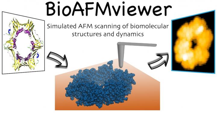 Figure 1. BioAFMviewer