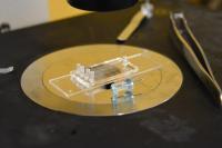 Microfluidic Platform