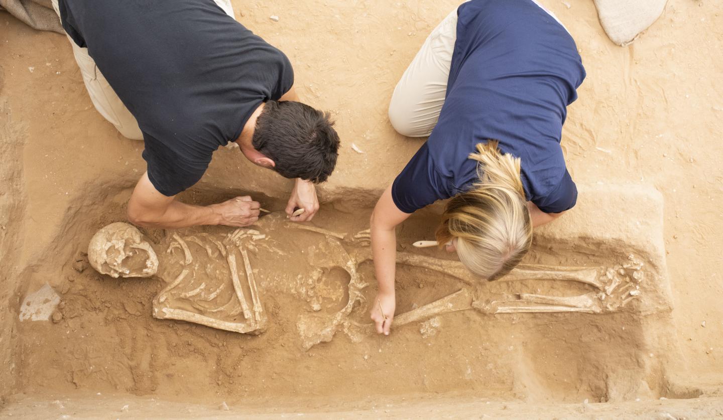 Excavation of the Philistine Cemetery at Ashkelon