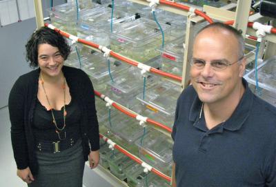 Tanya R. McKitrick and Anthony W. De Tomaso, University of California - Santa Barbara