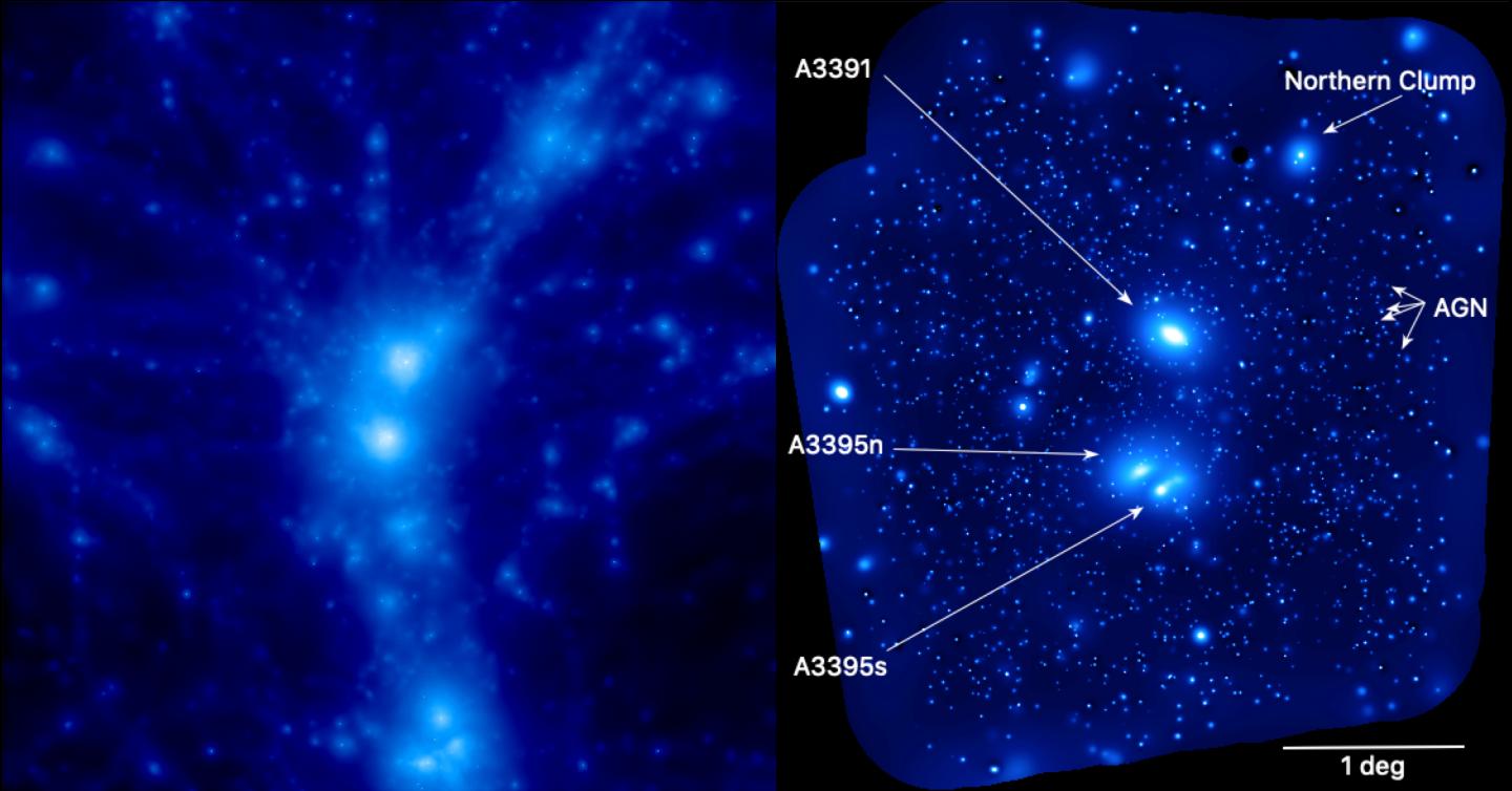 filaments universe galaxies clusters