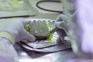 How DNA is preserved in archaeological sediments for thousands of years - EurekAlert