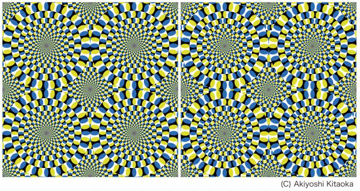 Akiyoshi Kitaoka's Rotating Snake Illusions