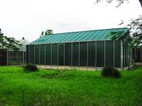 Enclosed Greenhouse in Kenya