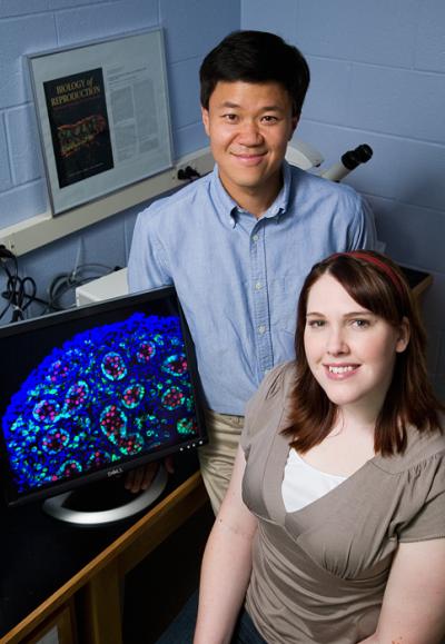 Hung-Chang Yao and Denise Archambeault, University of Illinois at Urbana-Champaign