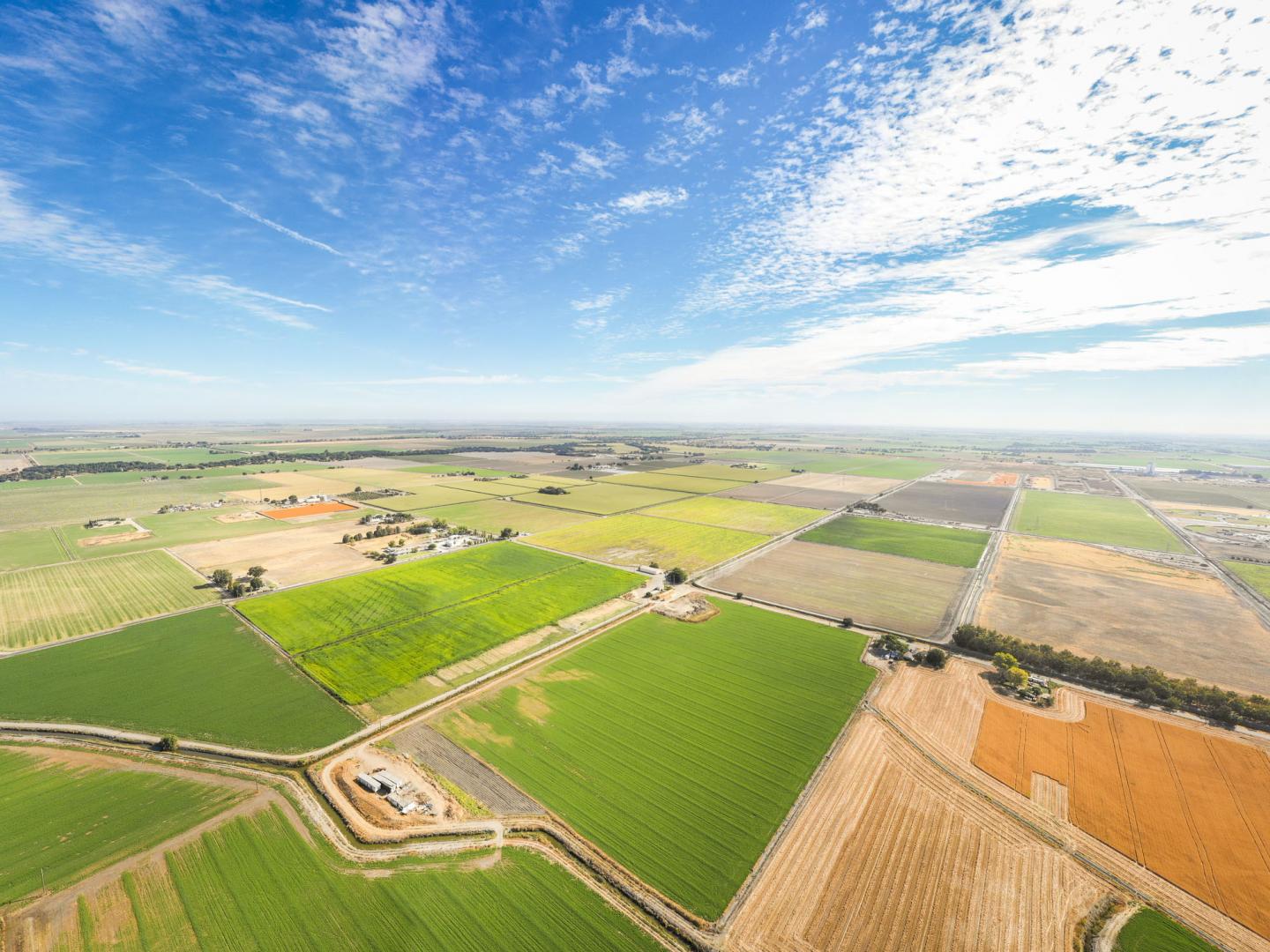 Aerial View of Farmland in California