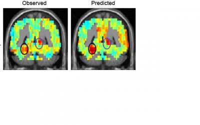 Predicting the Activation of a New Concrete Noun