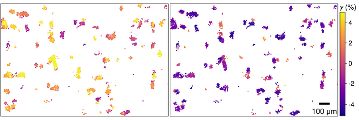 Particle locations