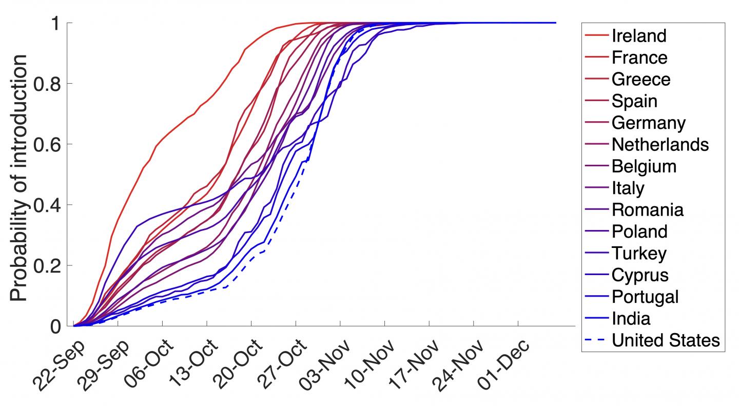Arrival of the Coronavirus Variant B117