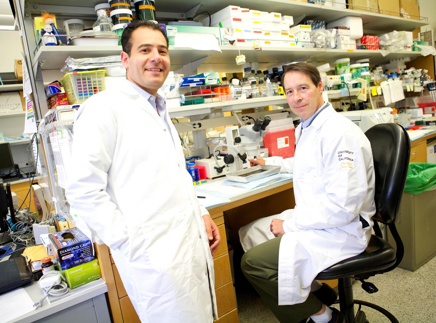 Tamer Sallam and Peter Tontonoz, University of California - Los Angeles Health Sciences