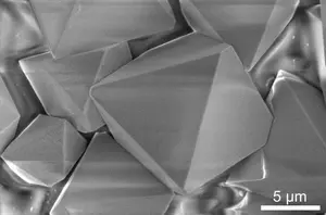 SEM image of "multielement ink" halide perovskite crystal