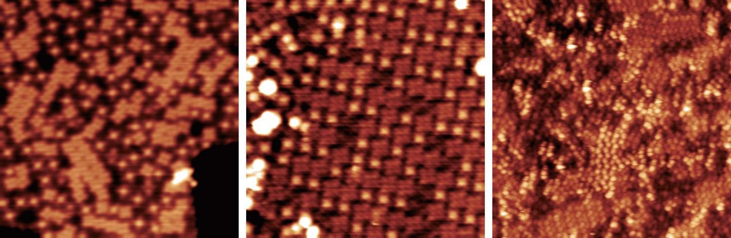 Scanning Tunneling Microscopy Images of the Organic Layer