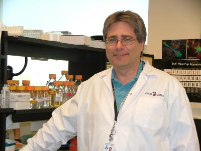Dr. David Picketts, Ottawa Hospital Research Institute