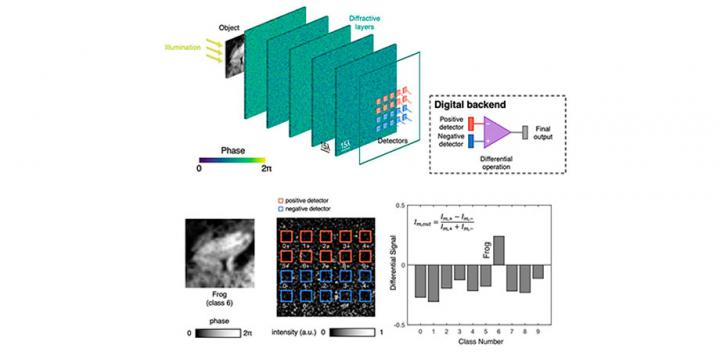 Operation Principles of a Differential Diffractive Optical Neural Network