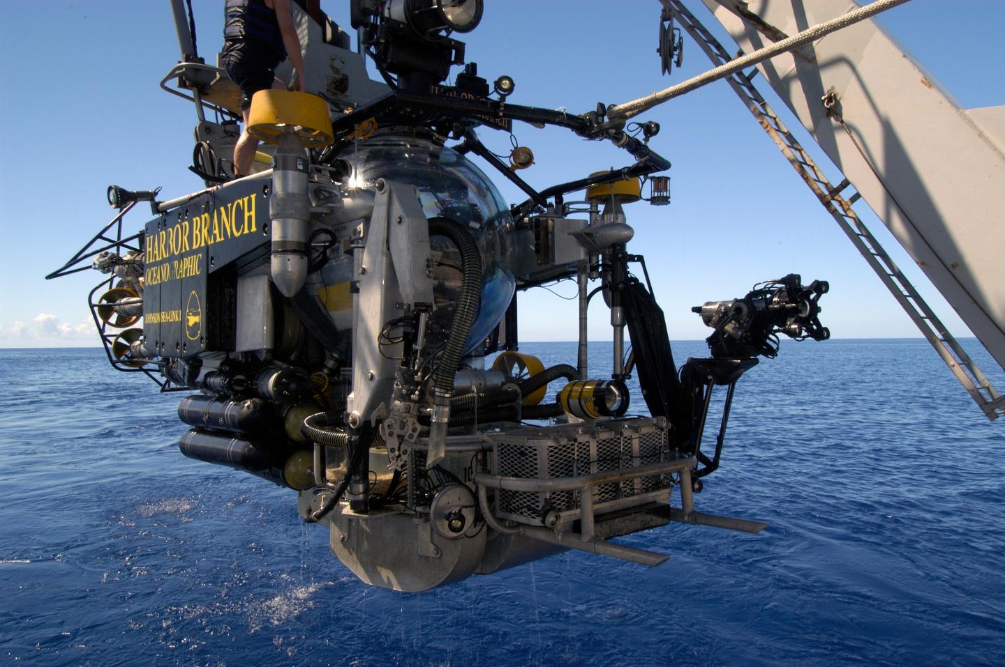 Johnson Sea Link Submarine Collecting Deep-water Marine Sponges