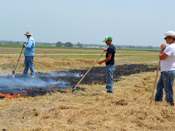 Students Controlled Burn