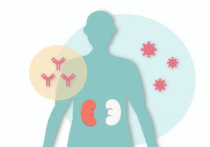 Reduced antibody acquisition