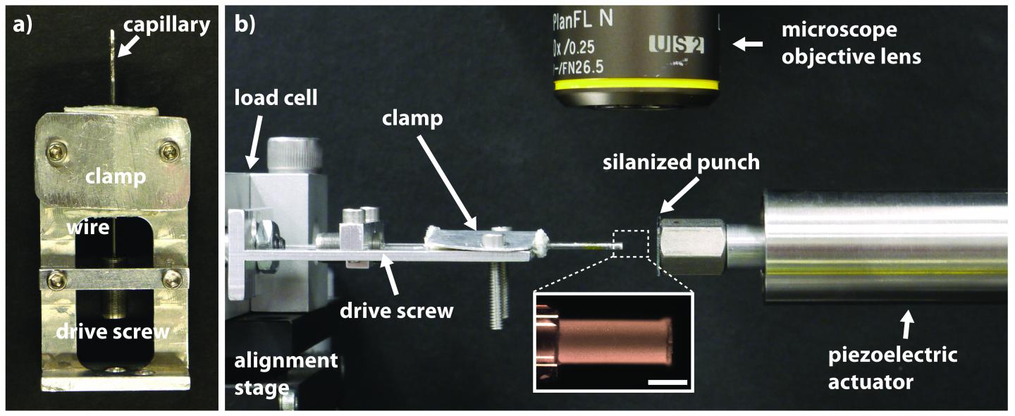 Micropillar Experiment Equipment