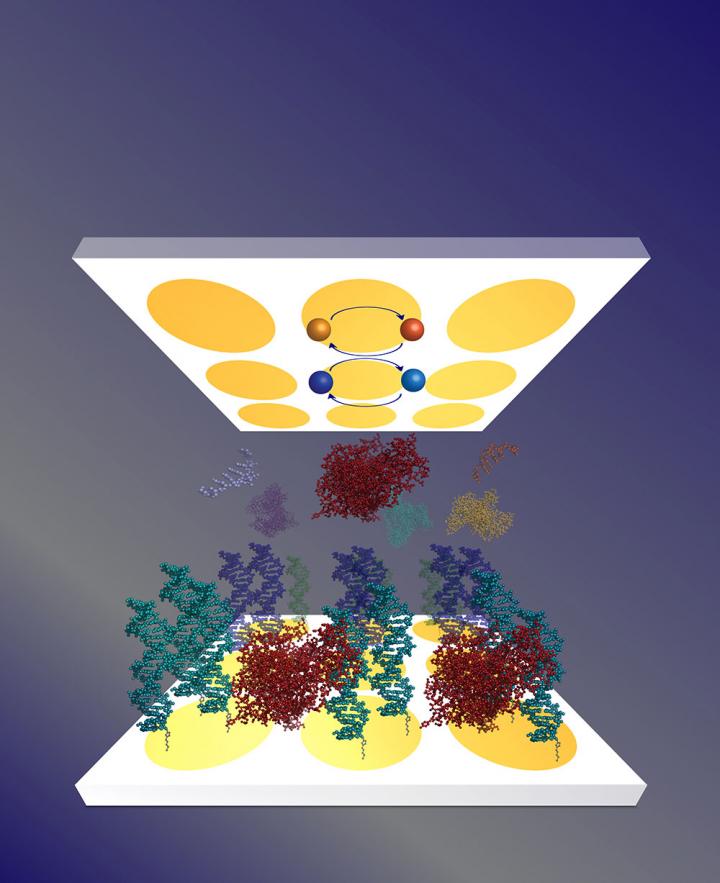 A New Approach to Detecting Colorectal Cancer