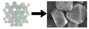 Molecular self-assembly: the creation of a pyrochlore crystal