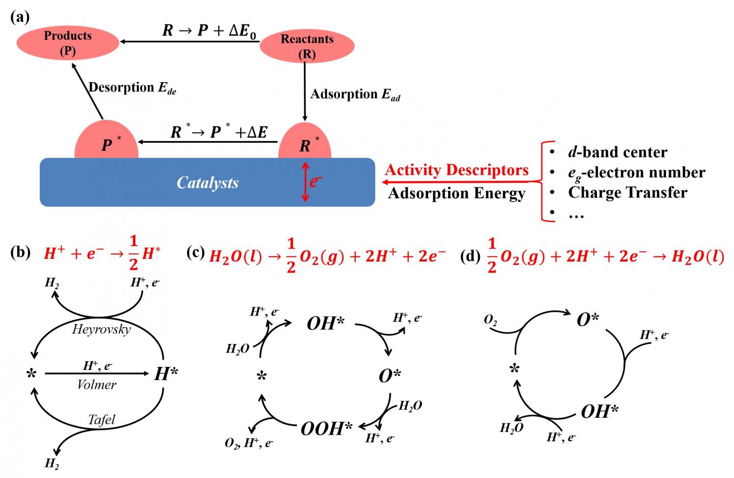 Schematic of Interfacial Catalysis