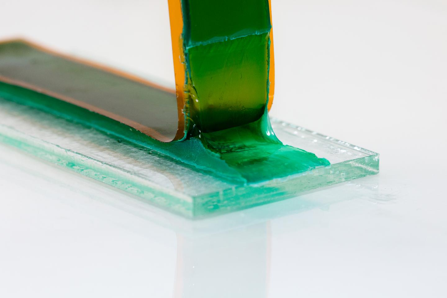 Faster than Ever? Hydrogels Bond to Soft and Hard Surfaces (11 of 19)