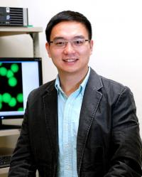 Zhen Gu, Ph.D., University of North Carolina Health Care