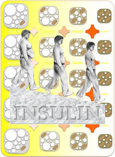 Could High Insulin Make You Fat? Mouse Study Says Yes