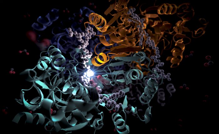 How soil bacteria speed up carbon fixation