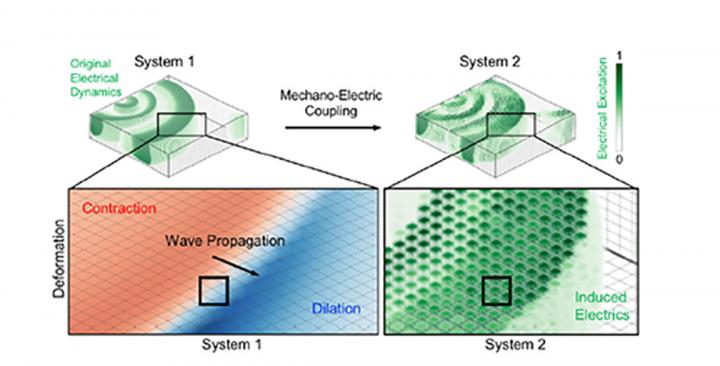 Reconstructing Underlying Electrical Causes of Arrhythmias