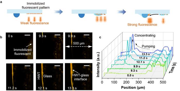 In-situ observation of the directional droplet movement across the hydrogel-glass interface