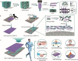 Unveiling the Future of Sustainable Materials: Cellulose-MXene Composites