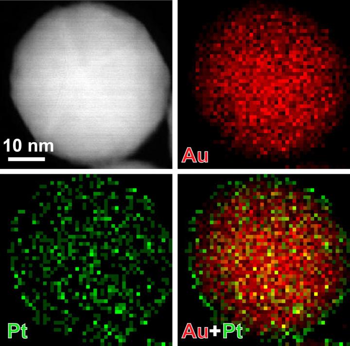 Platinum-Skinned Gold Nanoparticles