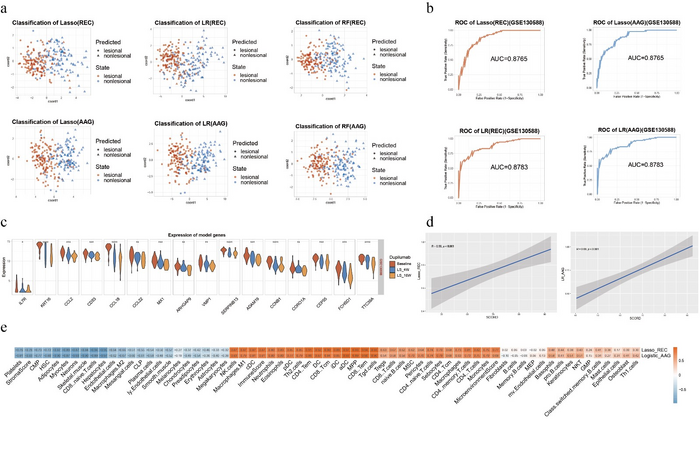 Six models were established using two batches of model genes(REC and AAG), and along with three machine learning algorithms: LASSO, linear regression (LR), and random forest (RF)