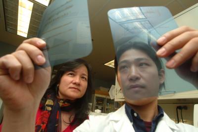 Dr. Wen-Cheng Xiong and Dae-hoon Lee, Medical College of Georgia (2 of 2)