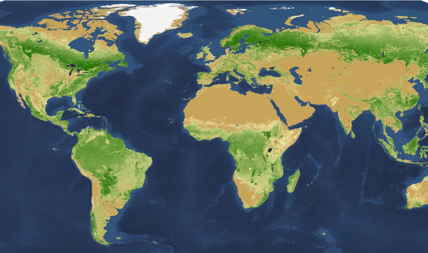 Global Map of Tree Density