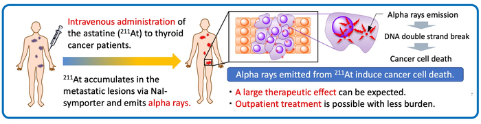 Conceptual image of the targeted alpha therapy using astatine (<sup>211</sup>At)