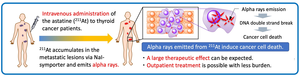 Conceptual image of the targeted alpha therapy using astatine (<sup>211</sup>At)