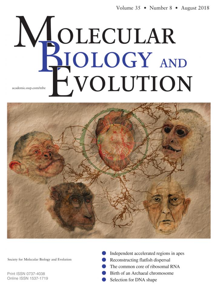 <i>Molecular Biology and Evolution</i> - August Front Cover