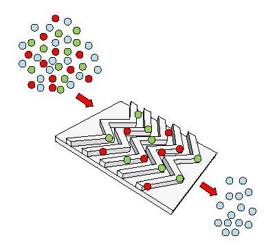 Microchip Device to Capture Tumor-specific Extracellular Vesicles